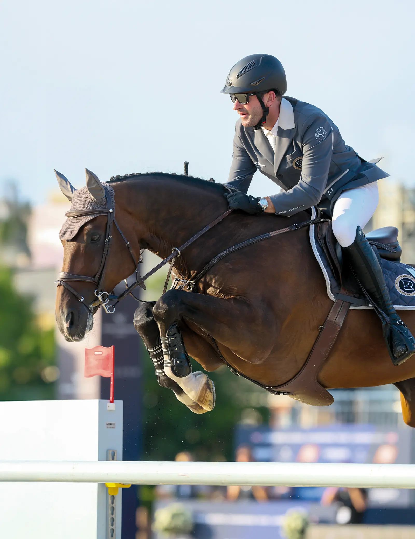 Champions Vertrauen Auf Horse Gym