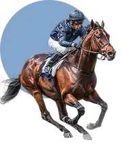 Our Products Home Details@2x