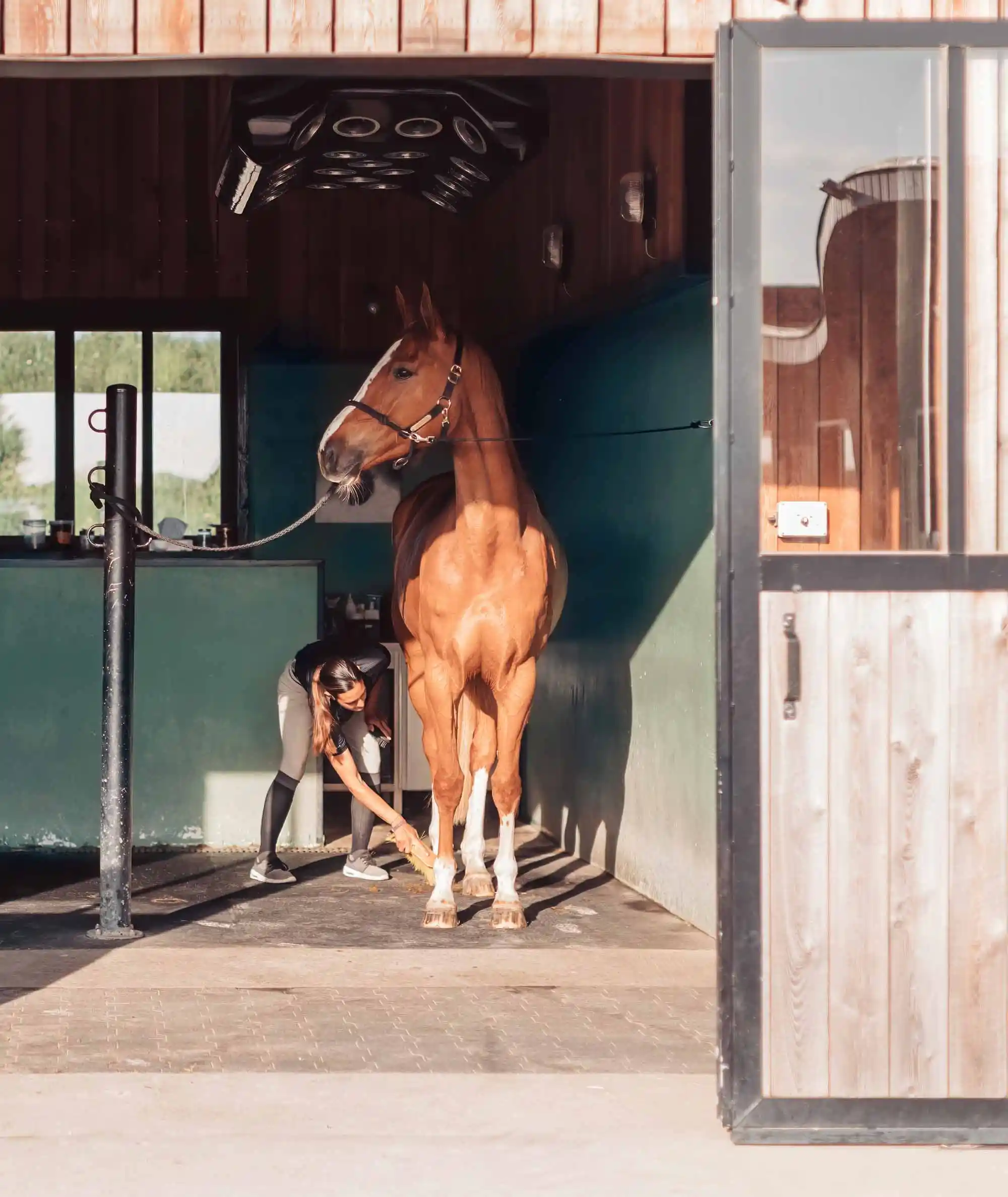 Trainingsgeraete Fuer Ihr Pferd